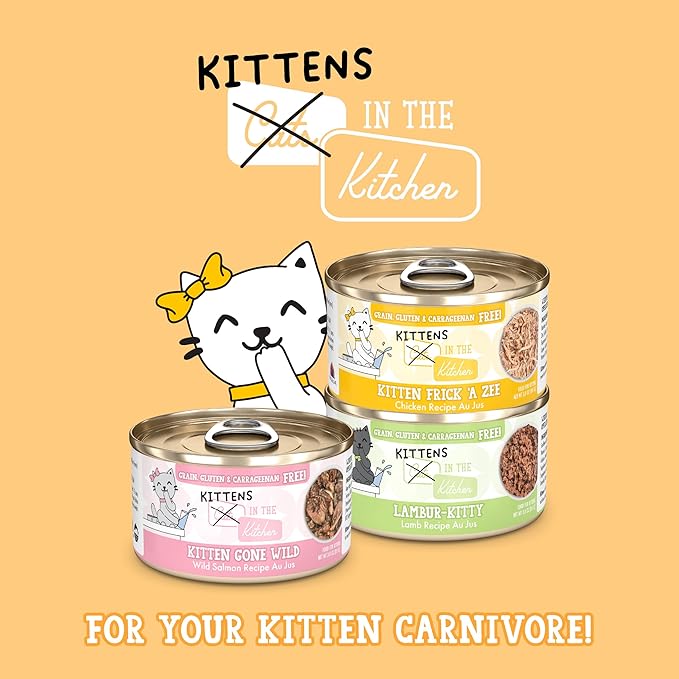 Weruva Cats in The Kitchen Kitten, Kitten Gone Wild, 3oz Can (Pack of 12)