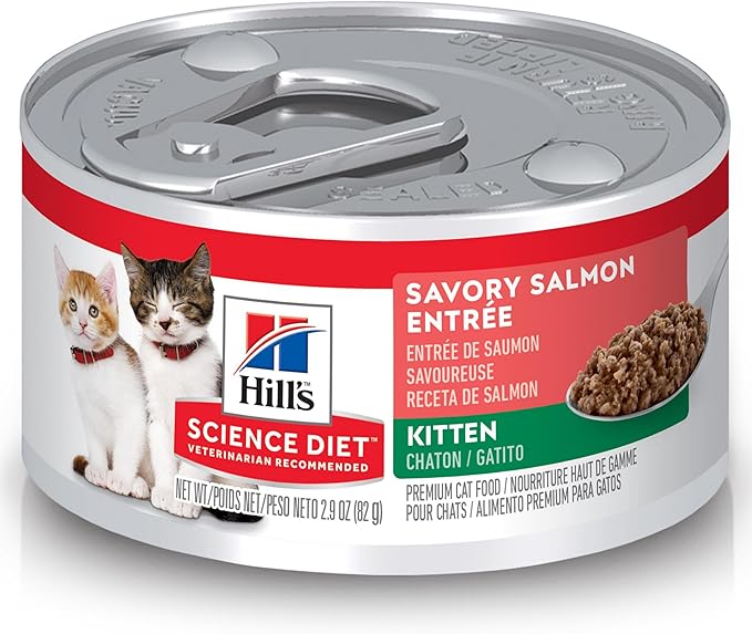 Hill's Science Diet Kitten, Kitten Premium Nutrition, Wet Cat Food, Salmon Minced, 2.9 oz Can, Case of 24
