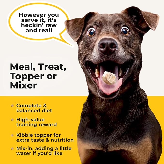 Bow Wow Beef - Freeze Dried Raw Dog Food, Complete Meal & Topper, Beef Liver and Kidney Bites for Training - High Protein (21g Per Cup) - Best Dog Stocking Stuffers, Made in The USA, 20oz Bag