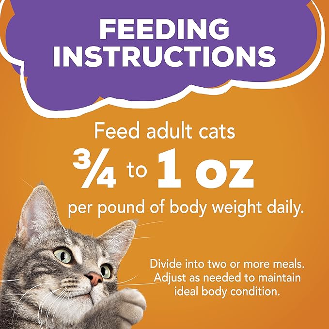 Purina Friskies Meaty Bits Wet Cat Food, Chicken Dinner in Gravy, Made with Real Chicken, Vitamins & Minerals, Canned Wet Cat Food, 5.5-Ounce Can (Pack of 12)
