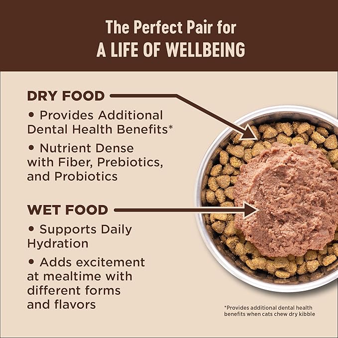 Wellness CORE Pate Adult Wet Cat Food, Natural, Protein-Rich, Grain Free, 3 Ounce, 12 Pack (Chicken, Turkey & Chicken Liver)