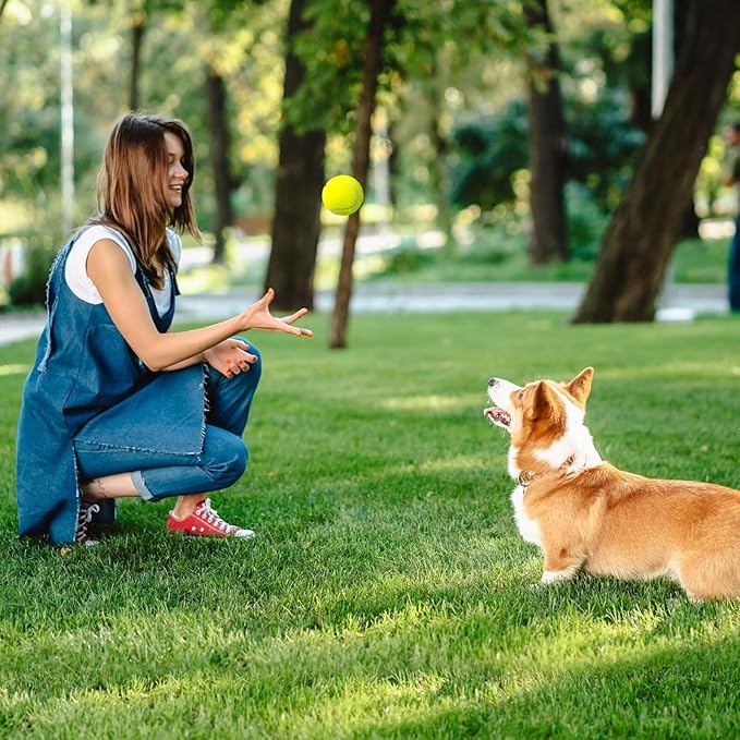 Prime Pets Tennis Balls for Dogs 3 Pack 2.5”, Durable Dog Toys for Training, Fetch & Outdoor Play, Squeaky Balls for Dogs Small and Medium with High Bounce, Interactive Pet Fetch Ball