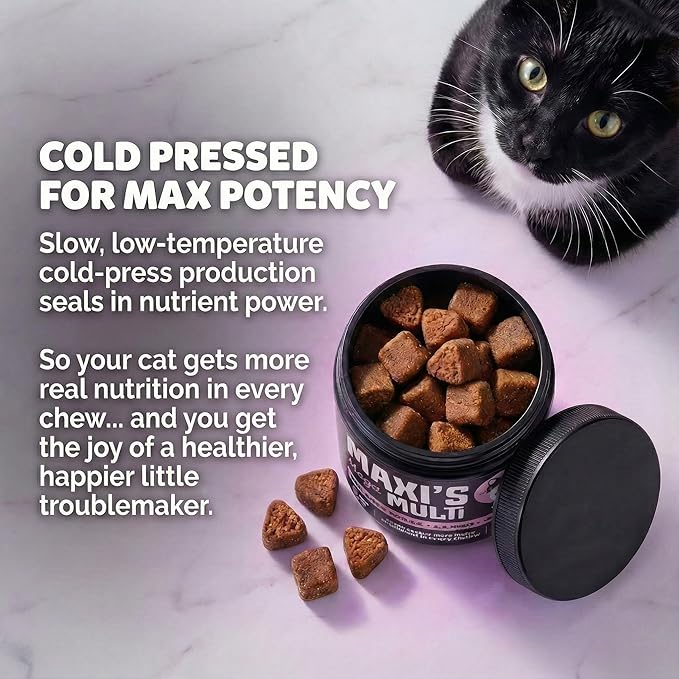 Human-Grade Cat Multivitamin | 15-in-1 Cat Vitamins for Indoor Cats + Taurine + Fish Oil + L-lysine + Lion's Mane | Feline Vitamins and Supplements | 45 Day Supply of Soft Chews