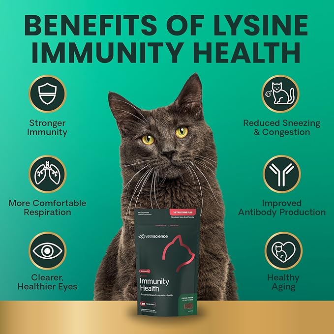 VetriScience Lysine Immunity Health Chews, 250 mg Lysine Plus Immune Supplement for Cats and Kittens with Allergies, Sneezing, Runny Nose and Watery Eyes, Chicken, 120 Count (Pack of 2)