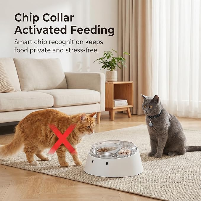 Anifam Microchip RFID Cat Feeder, Automatic Pet Feeder for Multi-Pet Homes, Dog Proof Cat Feeding Station with Stainless Steel Bowls for Small Dogs, Stops Food Stealing & Special Diets