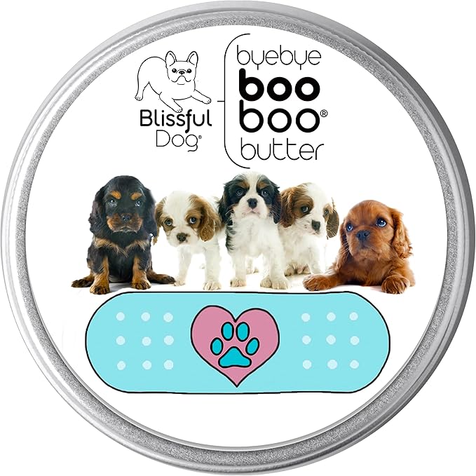 The Blissful Dog BB-CAVALL-16OZ Cavalier King Charles Spaniel Boo Butter, 16 oz.