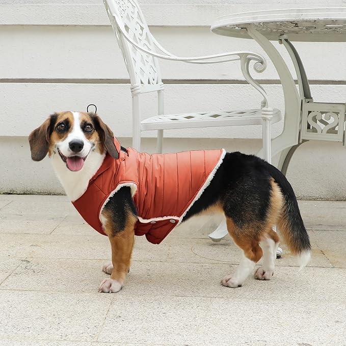 Fleece Lining Dog Hoodie with Harness Built in,Extra Warm Large Dog Jacket in Winter Doggie Coats with Drawstring Hooded,Orange XXL