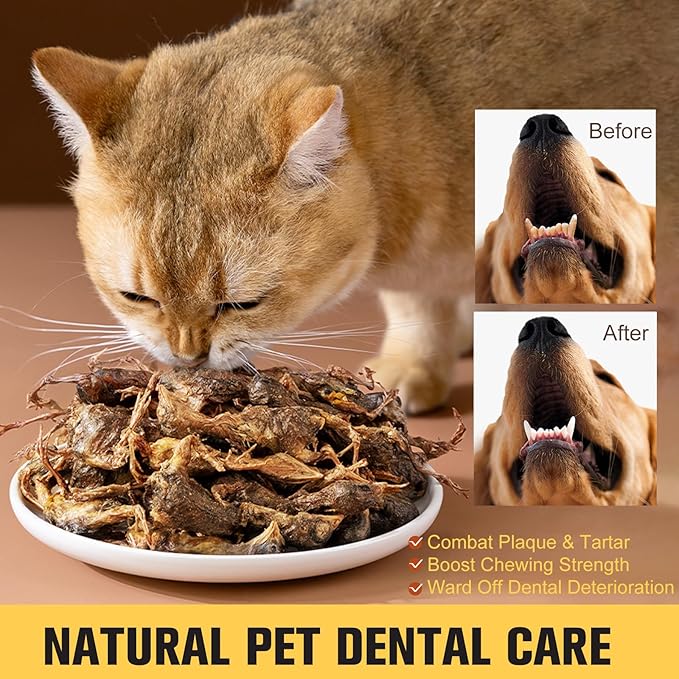 Memorjew Freeze Dried Chicken for Cats and Dogs - 130g (4.59oz) Bagged, Fresh - Tasting Treats for Training & Dental Care (S, Chicken)