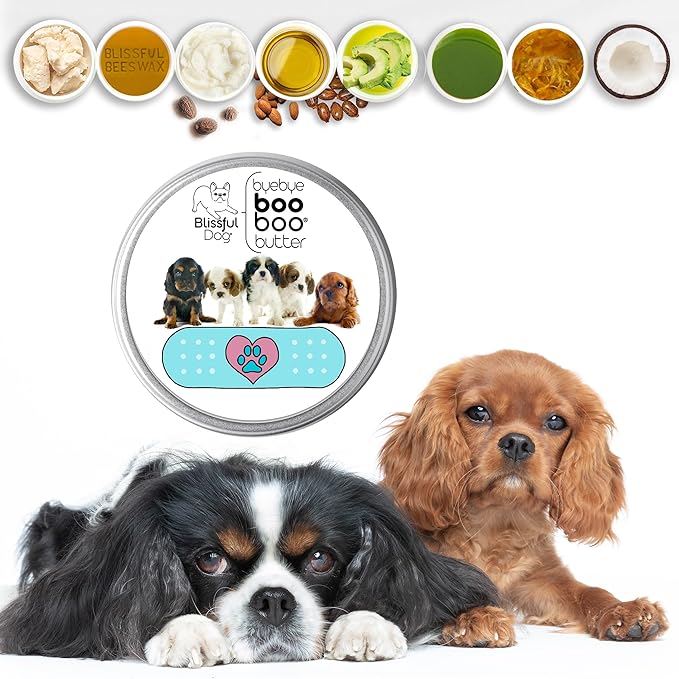 The Blissful Dog BB-CAVALL-16OZ Cavalier King Charles Spaniel Boo Butter, 16 oz.