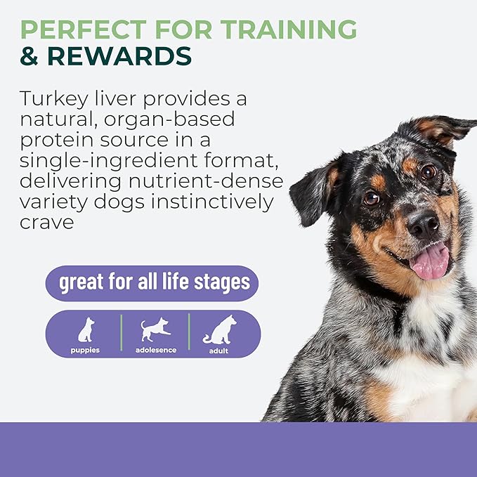 Momentum Carnivore Nutrition Freeze-Dried Turkey Liver Dog Treats & Cat Treats – Single-Ingredient, High-Protein, Grain-Free, Naturally Flavorful & Lean – Made in USA – 3.5 oz Bag