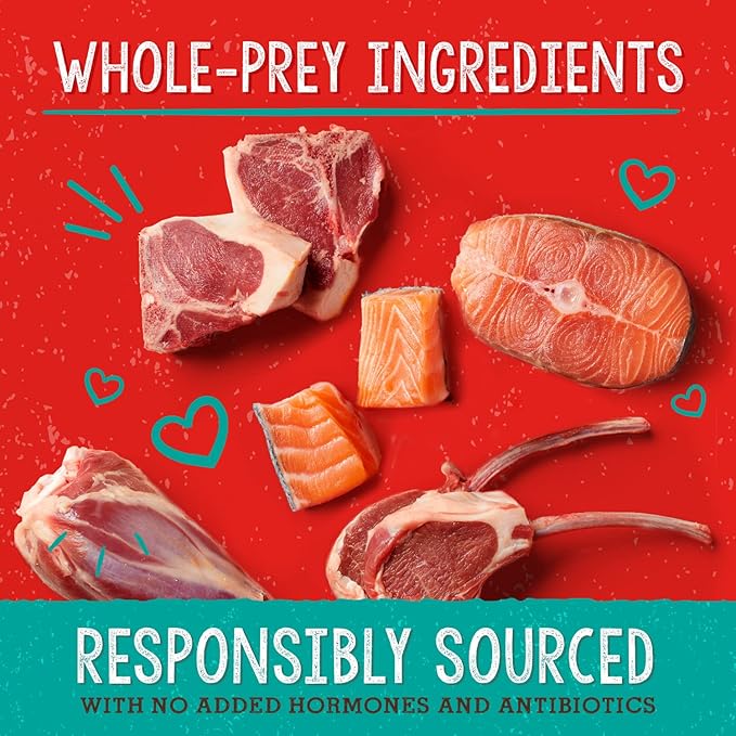 Stella & Chewy's Freeze-Dried Raw Dog Food for Skin & Coat - Grass-Fed Lamb & Wild-Caught Salmon - Natural Solution for Itchy Skin, Dull Coat & Shedding - Premium Raw Nutrition - 13oz