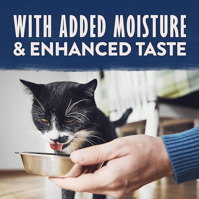 Natural Balance Limited Ingredient Split Cup Variety Pack - Chicken and Duck with Sweet Potato Recipe Soft Pate Wet Cat Food for Sensitive Stomachs and for Healthy Digestion, 2.6 oz. Case of 12