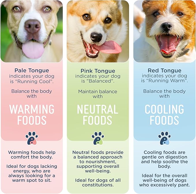 Side by Side Chicken & Lamb Stew - Warming Wet Dog Food & Dog Food Topper - Made with Nutrients & Whole Raw Ingredients - Human-Grade, No Artificial Additives or Fillers - USA Made (12.5 oz, 3-Pack)