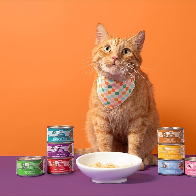 Weruva Cats in The Kitchen, La Isla Bonita with Mackerel & Shrimp Au Jus Cat Food, 6oz Can (Pack of 24)