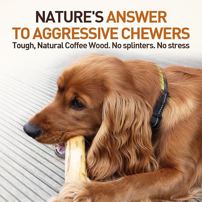 Wildfang® Coffee Wood Dog Chew, XS – Tough Chew Toys for Aggressive Chewers, Dog Teething Toys for Puppies, Training for Chewing Muscles, Coffee Tree Sticks for X-Small Dogs (Under 22 lbs), Pack of 3