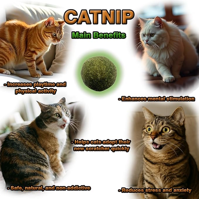 Kitty Curls Cat Scratcher, Magnetic Shape-Shifting Reversible Eco-Friendly Cardboard Ring, Collapsible Ball Track + Bell Ball, Catnip Included & Bonus Toy – Helps Protect Furniture for Cats & Kittens