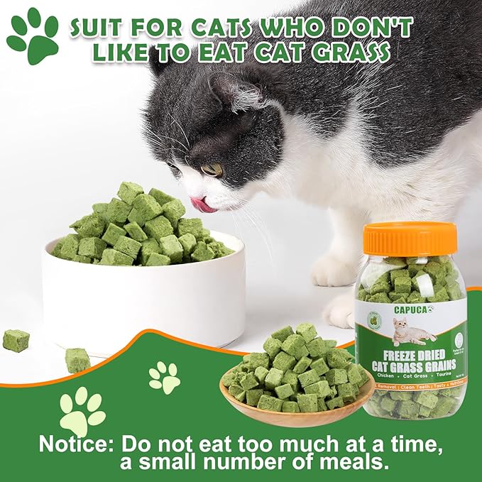 Freeze Dried Cat Grass Treats - Natural Dental Chew Sticks for Teeth Cleaning,Hairball Removal & Digestion, Crunchy Cat Snack (80g)