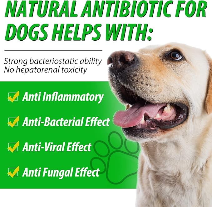 Antibiotics for Dogs, Natural Antibiotics for Dogs, Dog Antibiotics, Dog Multivitamin for Pets, Dog Supplies Antibiotics, Natural Dog Antibiotics Supports Dog Allergy and Itch Relief - 60ML