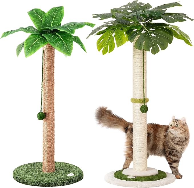 Meowoou Cat Scratching Post, 33 inch Tall with Sisal Rope, Tropical Style, Cute for Kittens