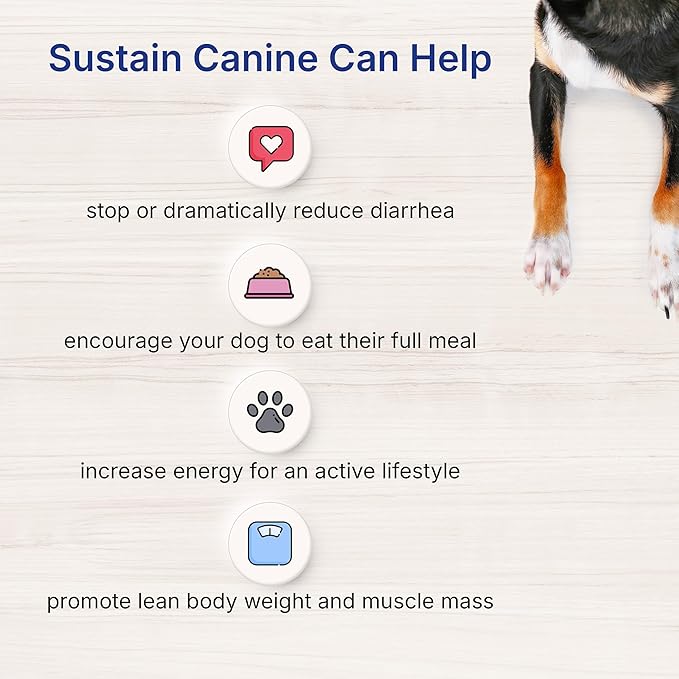 Sustain Canine Recovery Food for Dogs 400 g