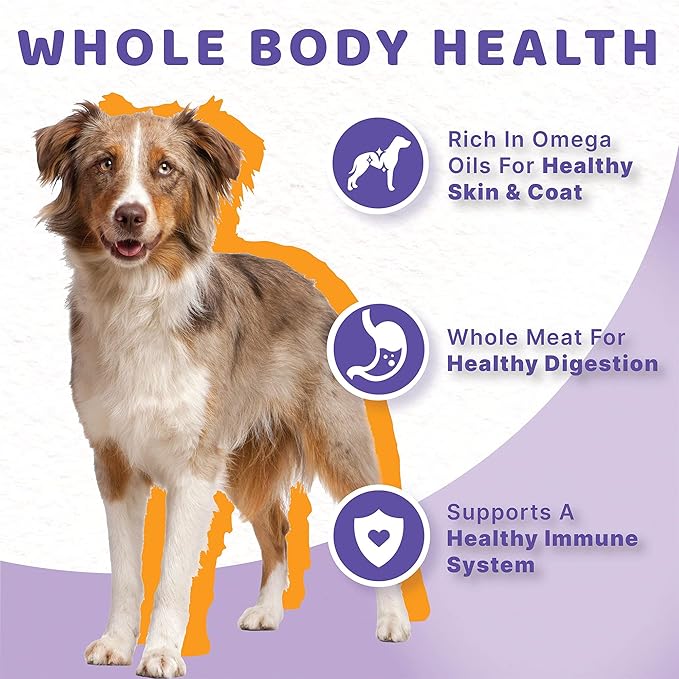 Halo Healthy Grains Adult Dog Wet Food, Chicken Recipe in Broth, 13.2 oz, Case of 6