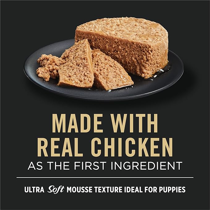 Purina Pro Plan Puppy Food Starter Mousse Chicken Entree Wet Dog Food - 5.5 Ounce (Pack of 24)