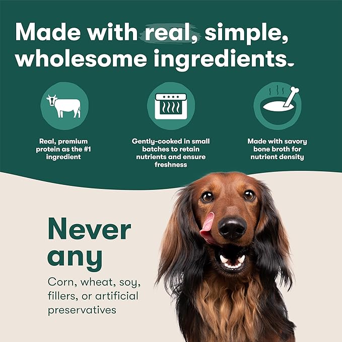 Jinx Salmon Grain Free Wet Dog Food Toppers, Meal or Mix with Dry Dog Food, Made with Real Salmon & Chicken, Bone Broth, No Fillers, Puppy, Adult, Senior, 9oz, 6 Pack
