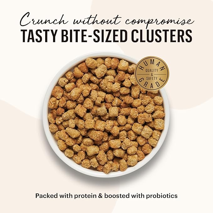 The Honest Kitchen Whole Food Clusters Grain Free Chicken Dry Cat Food, 1 lb Trial Pouch (Pack of 2)