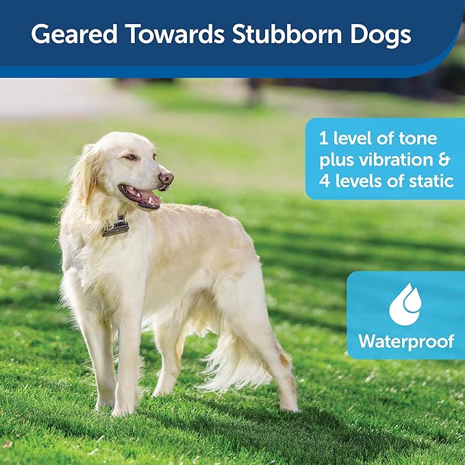 PetSafe Stubborn Dog In-Ground Fence System - High-Intensity Static Correction - Tone & Vibration Modes - Waterproof Adjustable Collar - Expandable Design - Wire Sold Separately