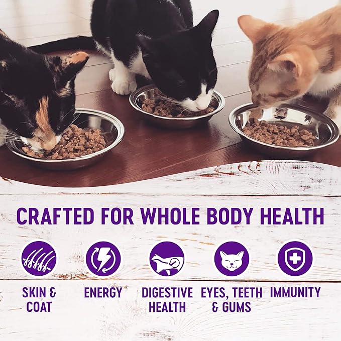 Wellness Natural Pet Food Healthy Indulgence Grain Free Wet Cat Food, Morsels Chicken and Turkey, 3 Ounce (Pack of 24)