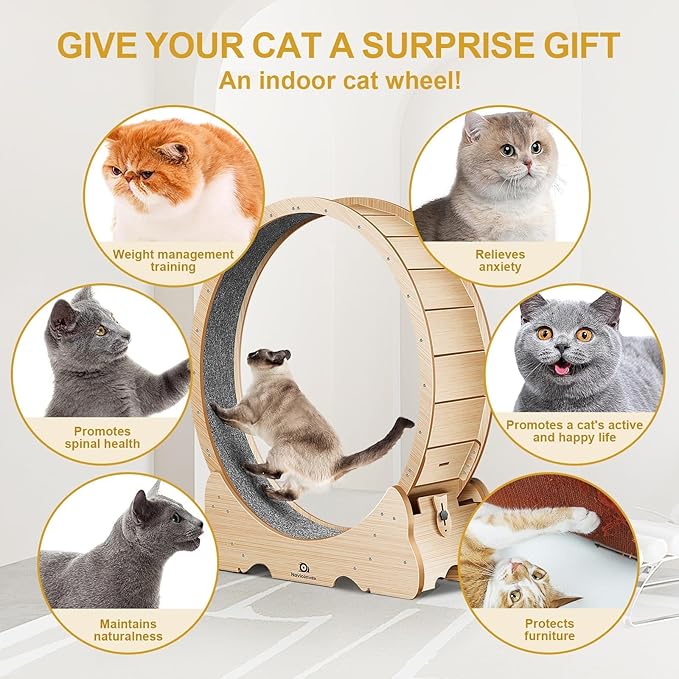 Cat Wheel, 48" XL Large Cats Exercise Running Wheel, Cat Treadmill for Indoor Cats