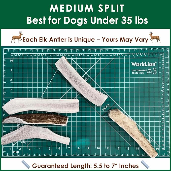 3 Pieces Medium Split Elk Antler Dog Chew (5.5 to 7 inches) – All Natural, Premium Grade A, Odor-Free, USA-Sourced – Long-Lasting Dental Treats for Small Dogs Under 35 lbs