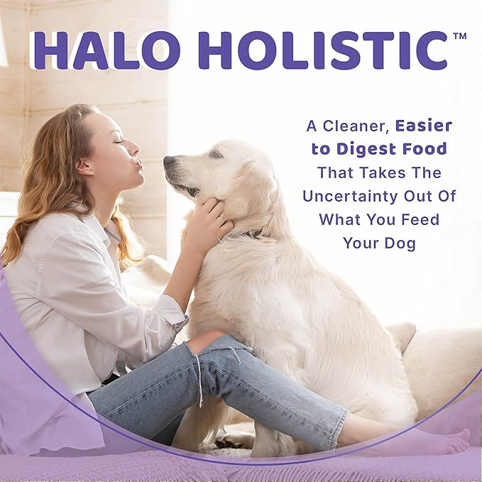 Halo Healthy Grains Adult Dog Wet Food, Chicken Recipe in Broth, 13.2 oz, Case of 6