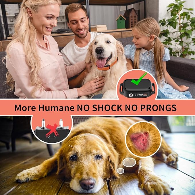 PaiPaitek No Shock Dog Training Collar for 2 Dogs – 3300ft Remote, Waterproof Vibration Collar for 2 Dogs, Humane Vibration & Beep, 5-120 lbs