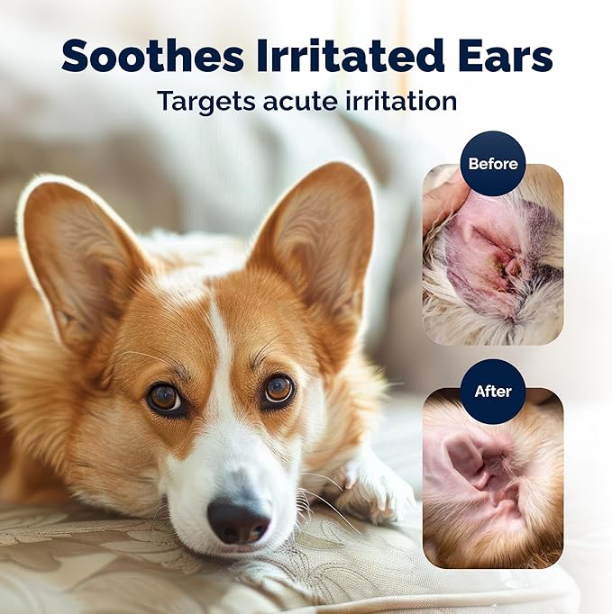 Vetnique Oticbliss Cat & Dog Ear Infection Treatment Drops, MicroSilver Yeast Infection Treatment for Dogs, Hydrocortisone for Itching, Redness Swelling (Ear Infection)