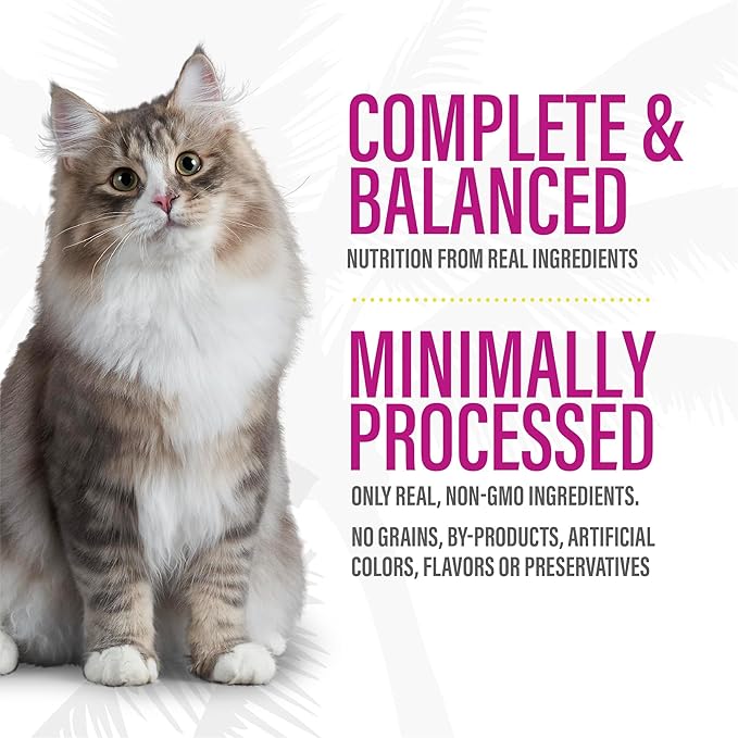 Tiki Cat After Dark Soft Pate, Turkey & Turkey Liver, High-Protein Ingredients, Wet Cat Food for Adult Cats, 3 oz. Can (12 Count) (Packaging May Vary)