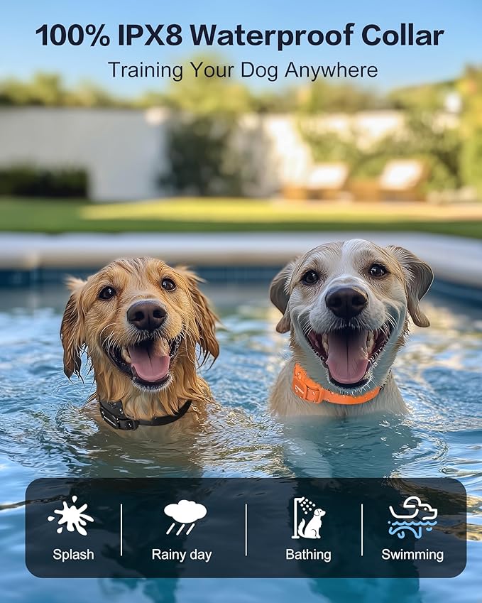 Jugbow Dog Shock Collar 2 Dogs - 4200FT Dog Training Collars with Remote for Large Medium Dogs, LED Light IPX8-Waterproof Rechargeable E-Collar with Beep (1-3), Vibration(1-3), Shock(0-16