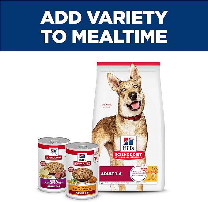 Hill's Science Diet Adult 1-6 Premium Nutrition Wet Dog Food, Chicken & Beef, 13 oz. Cans, 12-Pack
