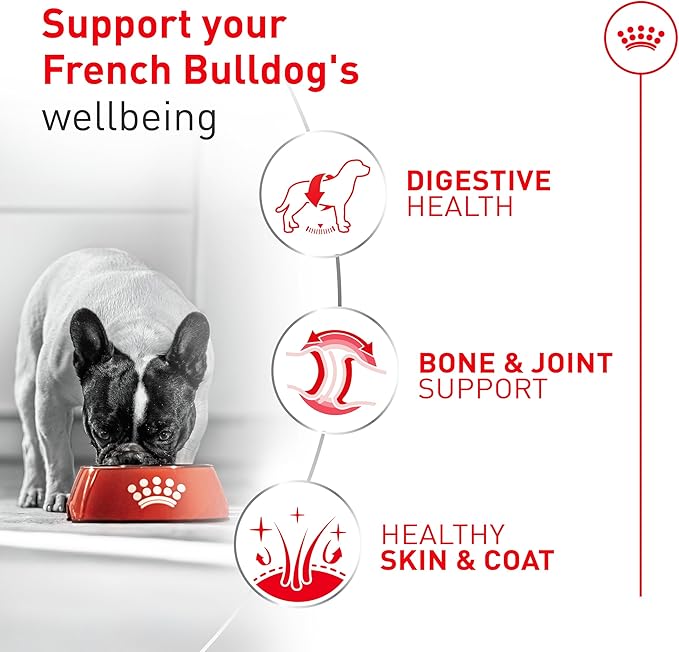 Royal Canin Breed Health Nutrition French Bulldog Wet Dog Food for Adult Dogs, Loaf Wet Food for French Bulldogs 12 Months+, Supports Digestive Health and Bone & Joint Health, 3 oz can