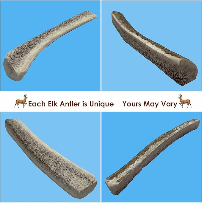 2-Pack Small Split Elk Antler Dog Chews (5 to 6.5+ in) – All Natural, Premium Grade A, Odor-Free, USA-Sourced – Long-Lasting Dental Treats for Toy and Small Dogs Under 15 lbs