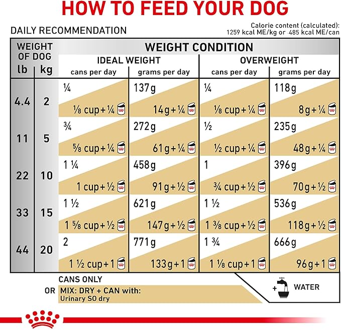 Royal Canin Veterinary Diet Canine Urinary SO Moderate Calorie Adult Thin Slices in Gravy Dog Food, 12.5 oz (Pack of 6)