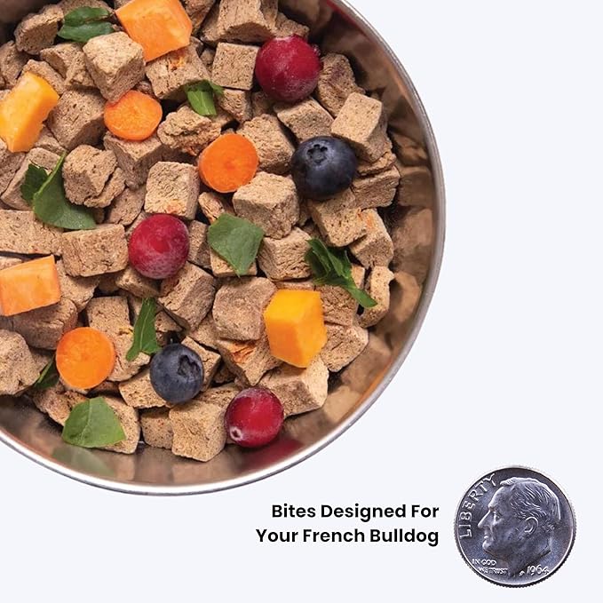 Air-Dried Dog Food for French Bulldogs - 4lb - Salmon, Superfoods, Probiotics - Hypoallergenic & Grain-Free