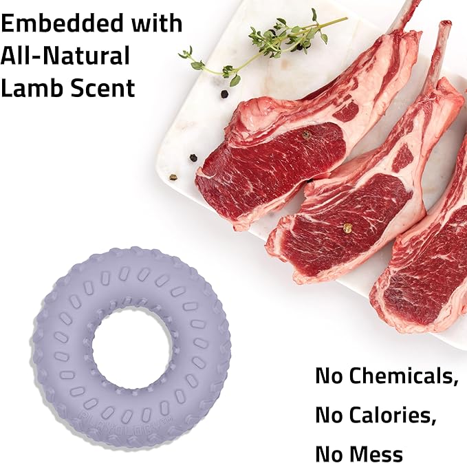 Playology Dog Toys | Dual Layer Ring Durable Chew Toy for Aggressive Chewers | Small Lamb Scented Toy - Easy to Clean and Made from Non Toxic Materials