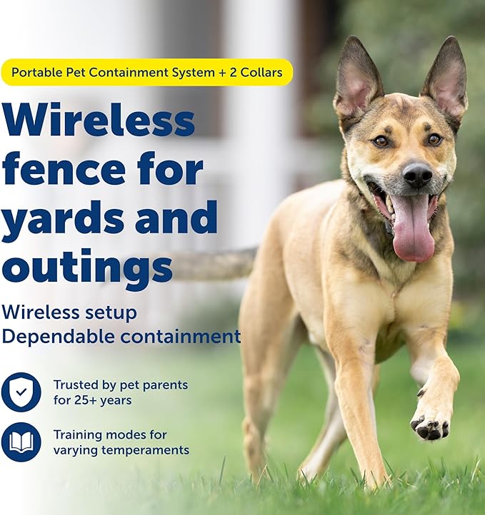 PetSafe Stay & Play 2-Dog Wireless Fence with Replaceable Battery Collar - Circular Boundary Covers Up to 3/4 Acre - Contains 2 Receiver Collars