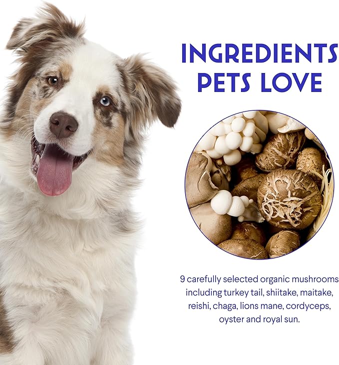 Wonder Paws Immune Support Mushroom Powder for Dogs – Organic Mushroom Complex for Immunity, Cognition, Cellular Health, Longevity - With Turkey Tail Mushroom for Dogs, Reishi & Lions Mane – 90 Scoops