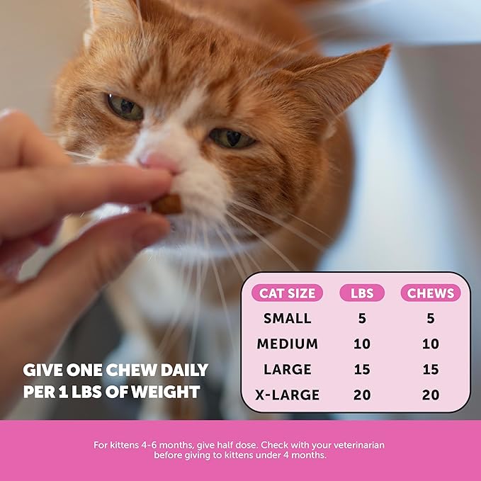 Cat Multivitamin & Skin Health Bundle – Multivitamin Chews 90 Day + Skin & Coat Health Chews 30 Day Supply