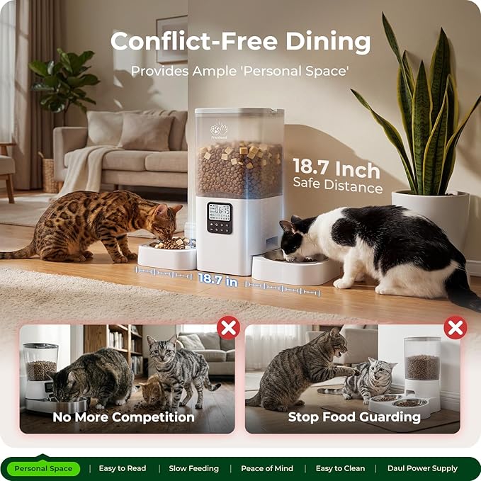 Timed Automatic Cat Feeder 2 Cats with Slow Feed: Dual Automatic Dog Feeder with Information Visualization, Programmable Auto Cat Food Dispenser for Multiple Pets,Detachable for Clean-29 Cup