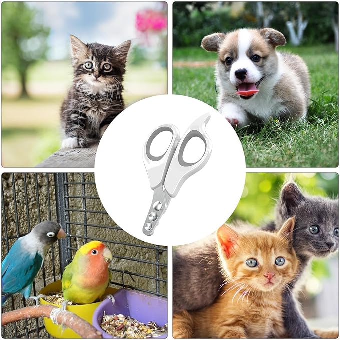 Nail Clippers for Cats - Claw Scissors for Pet,Splash-Proof Puppy Claw Trimmer - for Cats Dogs Grooming Veterinary Home Indoor Outdoor Travel Camping
