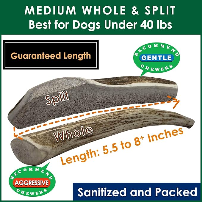 1-LB Medium Mixed Whole & Split Elk Antler Dog Chews (5.5-8+ in) – Long Lasting Natural Treats for Small to Medium Dogs Under 40 lbs – Durable Bones for Teeth Cleaning