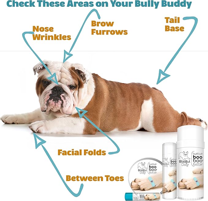 The Blissful Dog BB-BULLDOG-16OZ Bulldog Boo Butter, 16 oz.